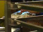 Small Business Stories - Free Range Cookies